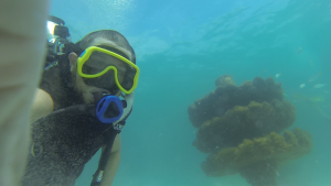 South Walton Artificial Reef Association deploys new reefs in Grayton Beach, Florida fall 2015